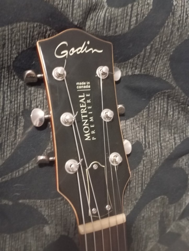 Godin Montreal Premiere