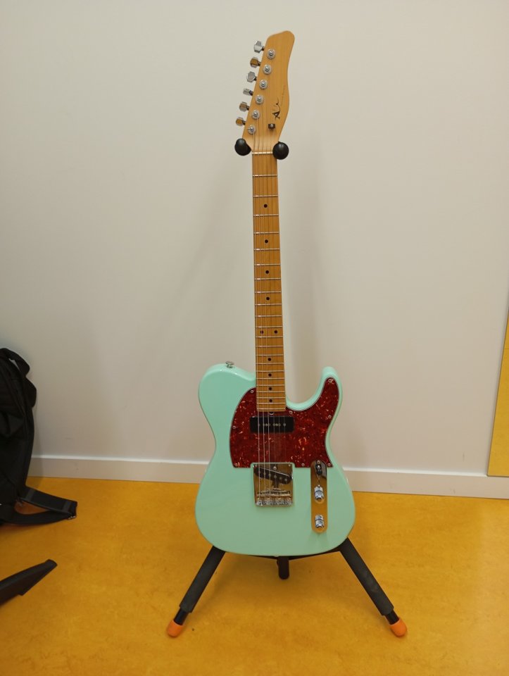 Telecaster AFJ custom guitars de segunda mano · Foto 1 de 10 · Araba · 1600 €
