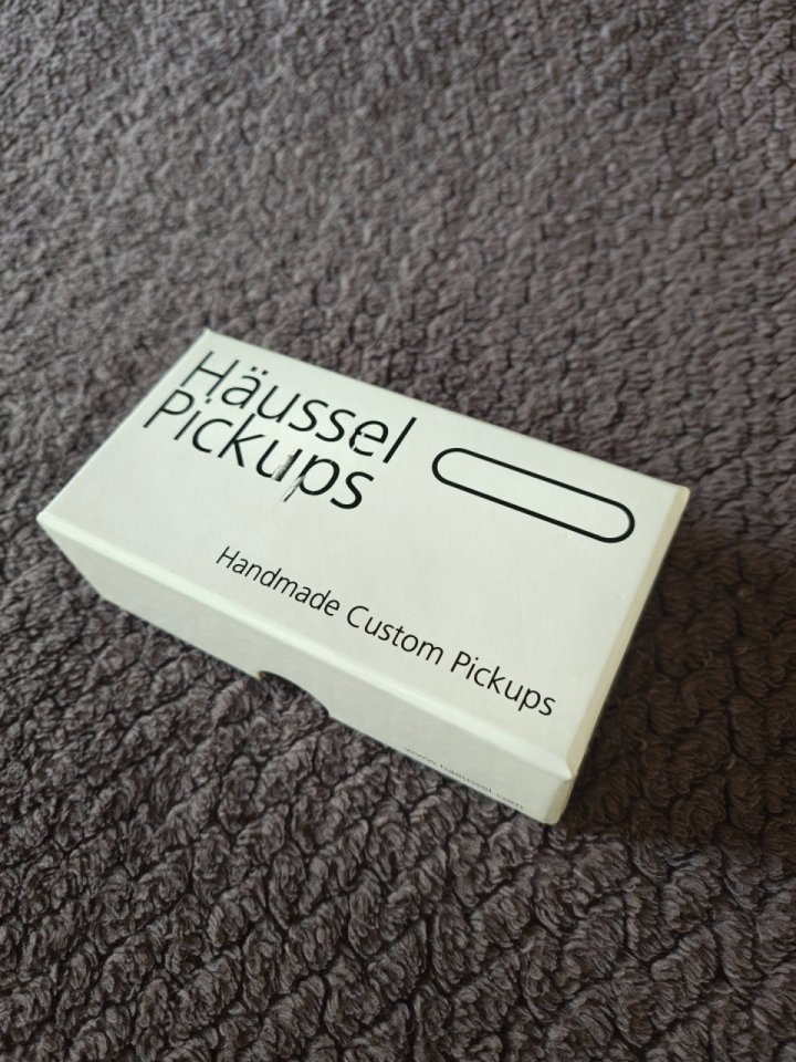 Pastilla Häussel 1959 Custom+ de segunda mano · Foto 3 de 4 · Bizkaia · 100 €