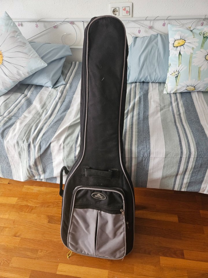 Guitarra eléctrica Fernandes