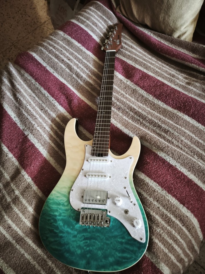 Guitarra donner dst 550. de segunda mano · Foto 6 de 6 · Barcelona