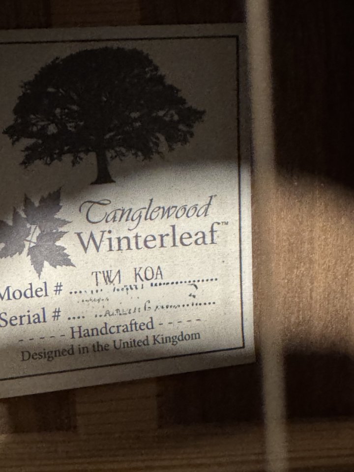 Guitarra acústica Tanglewood TW4 Koa