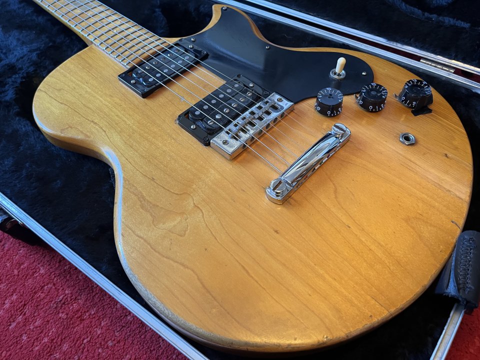 Gibson L6-S – 1974 - SANTANA