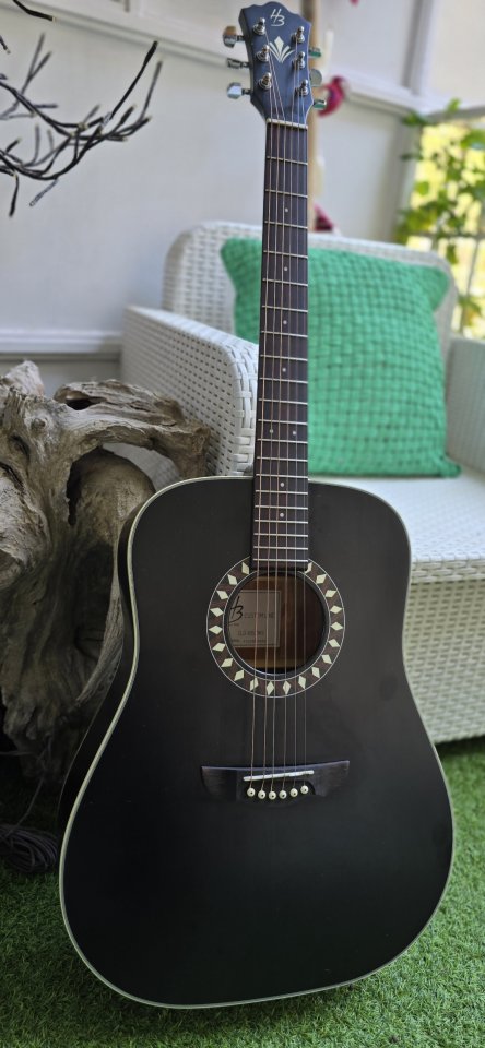 Harley Benton Custom Line CLD-10SCE BK.