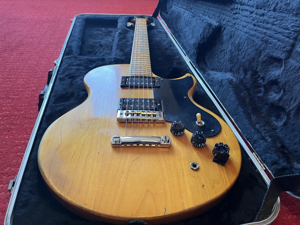 Gibson L6-S – 1974 - SANTANA