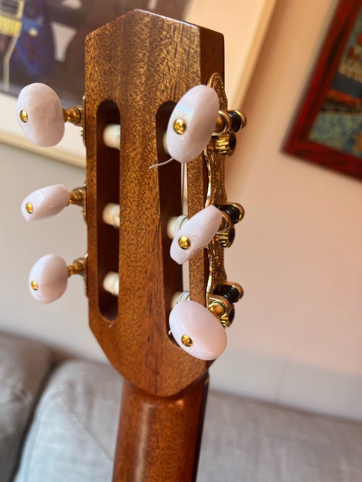 Guitarra Manouche Dupont Nomade Nylon de segunda mano · Foto 9 de 10 · A Coruña · 1150 €