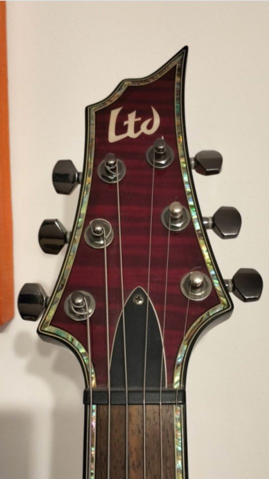 ESP HORIZON LTD H-351NT