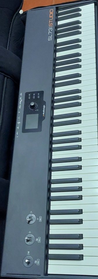 Studiologic sl73 + Roland A-500S + Extras