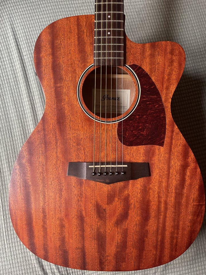 Ibanez PC 12 MH CE