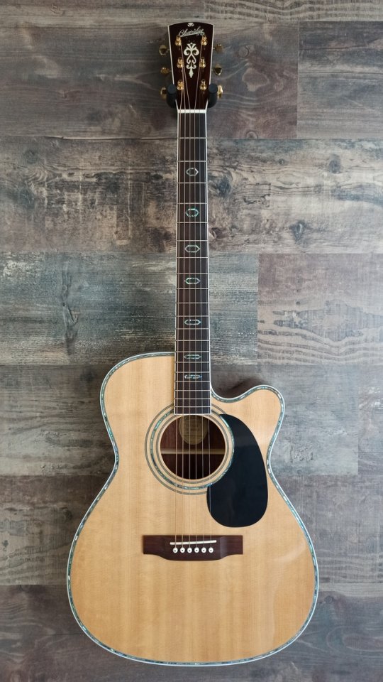 Blueridge BR-73CE
