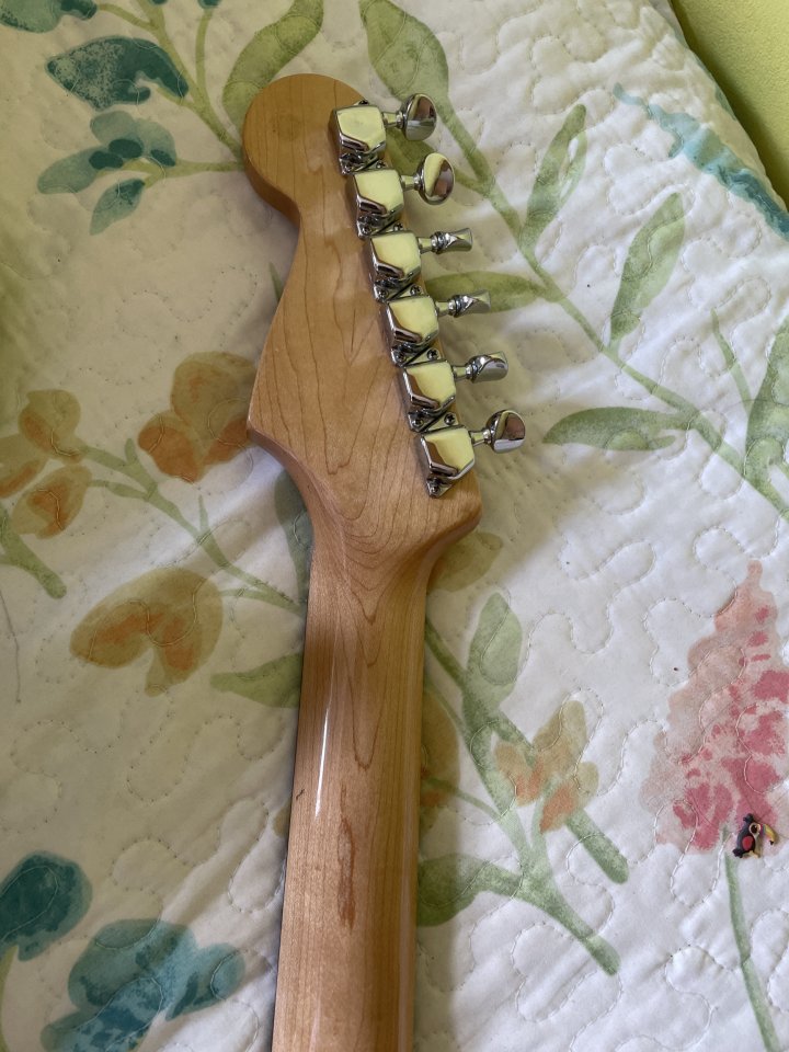 Vendo Tokai goldstar sound Stratocaster de segunda mano · Foto 6 de 6 · León · 900 €