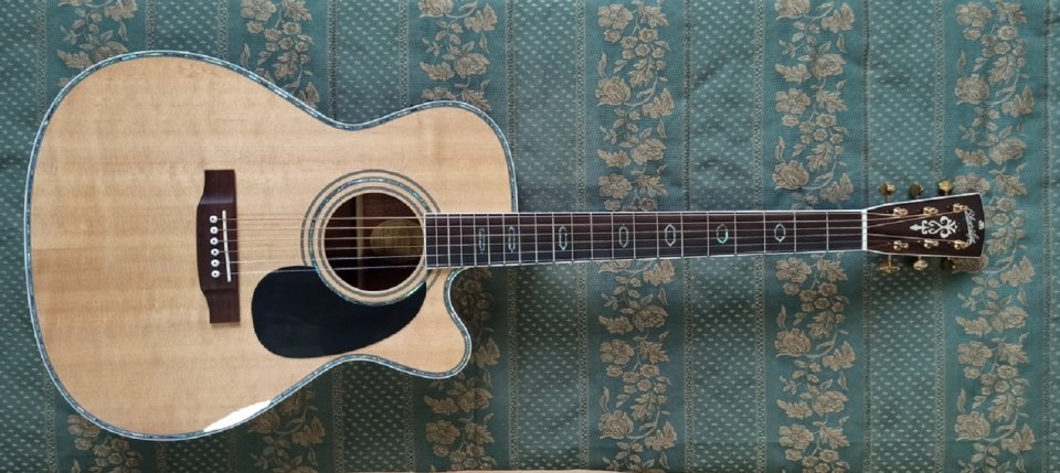 Blueridge BR-73CE