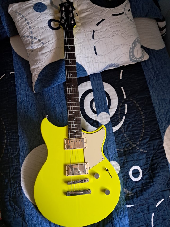 Yamaha Revstar RSE20 NY de segunda mano · Foto 1 de 7 · Madrid · 350 €