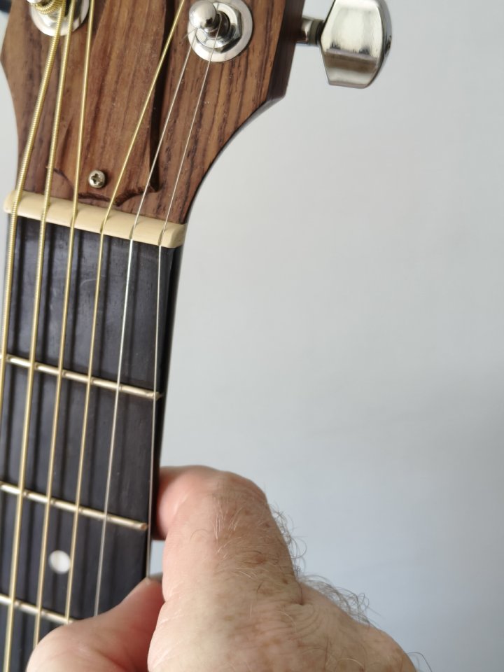 Acústica Taylor 114