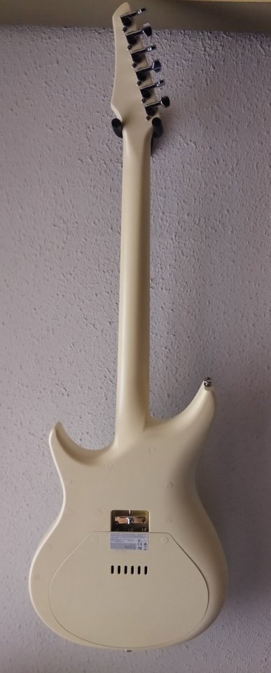 Guitarra Enya Inspire auto amplificada de segunda mano · Foto 4 de 10 · Barcelona · 350 €