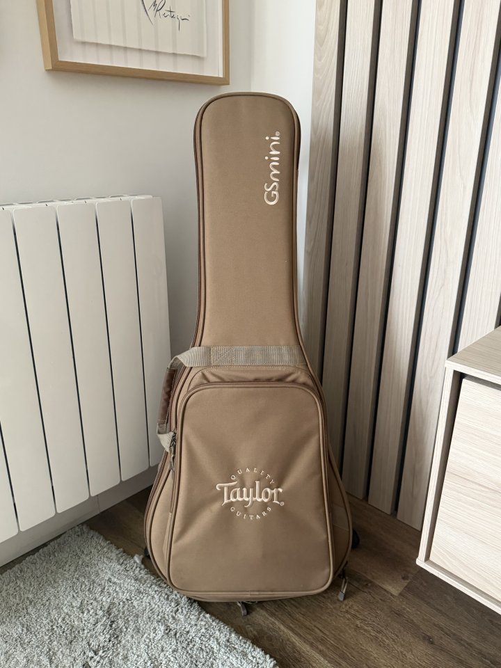 Taylor gs mini e-koa de segunda mano · Foto 2 de 8 · Cantabria · 600 €