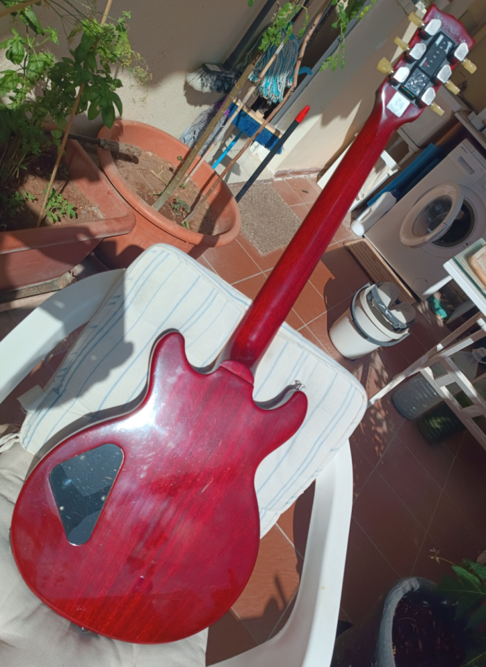 Gibson Les Paul Special DC-100 de 2015