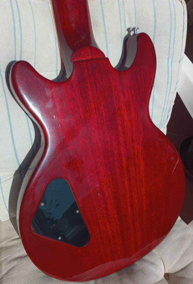 Gibson Les Paul Special DC-100 de 2015