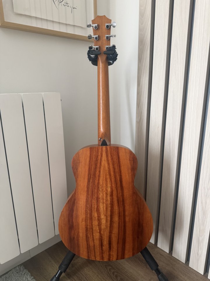 Taylor gs mini e-koa de segunda mano · Foto 5 de 8 · Cantabria · 600 €