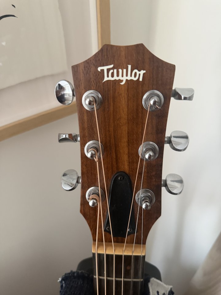 Taylor gs mini e-koa de segunda mano · Foto 6 de 8 · Cantabria · 600 €