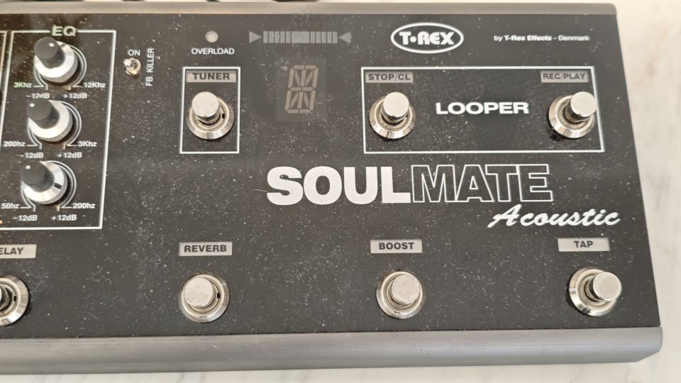 T-Rex SoulMate Acoustic