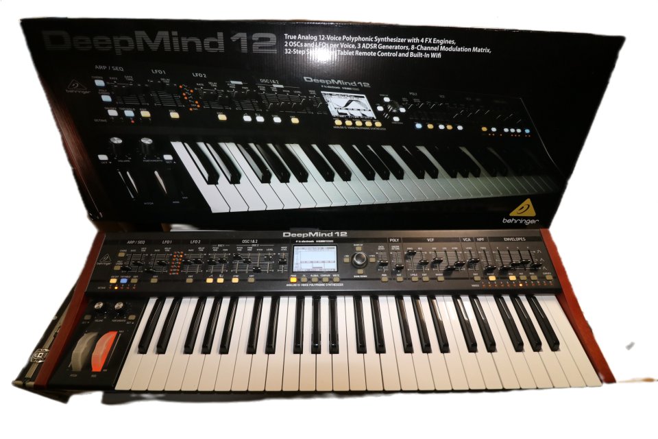 Behringer DeepMind 12 de segunda mano · Madrid · 550 €