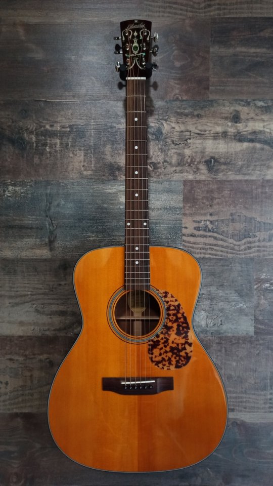 Blueridge BR-143 000