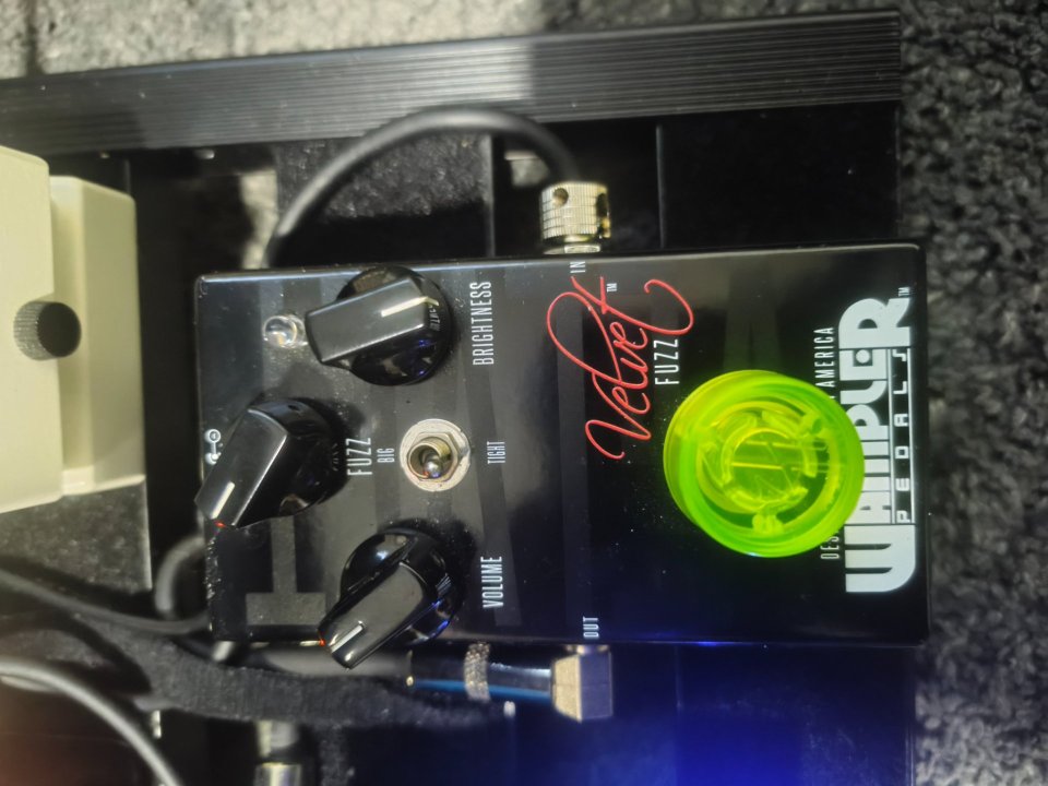 Cambio wampler velvet fuzz