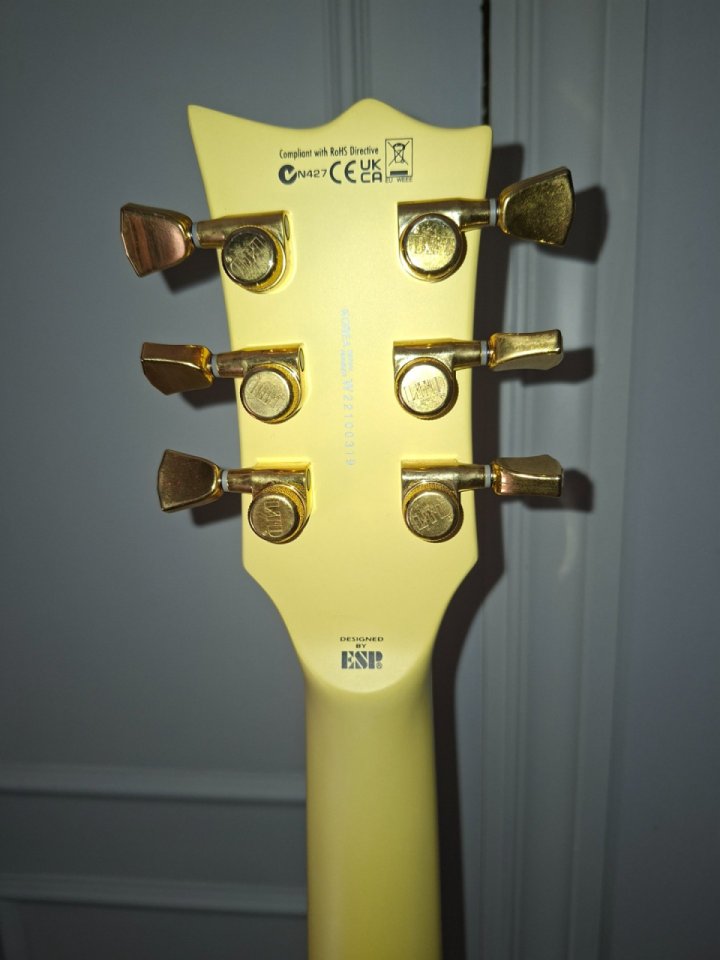 ESP LTD EC-1000T Deluxe (Vintage White) de segunda mano · Foto 5 de 5 · Cádiz · 900 €