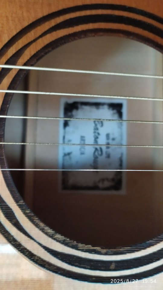 Guitarra acústica Baton Rouge AR21 con funda