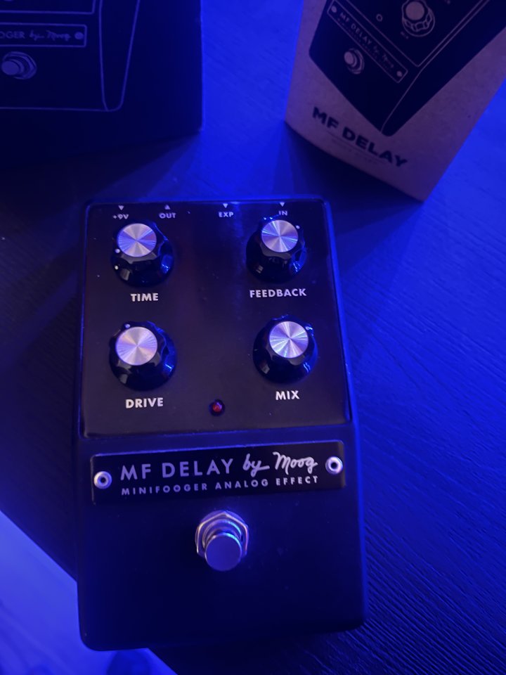 Moog mf delay minifooger de segunda mano · Foto 5 de 5 · Barcelona · 550 €