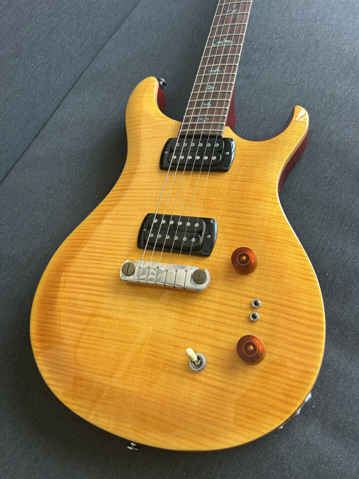 PRS SE Paul's Guitar
