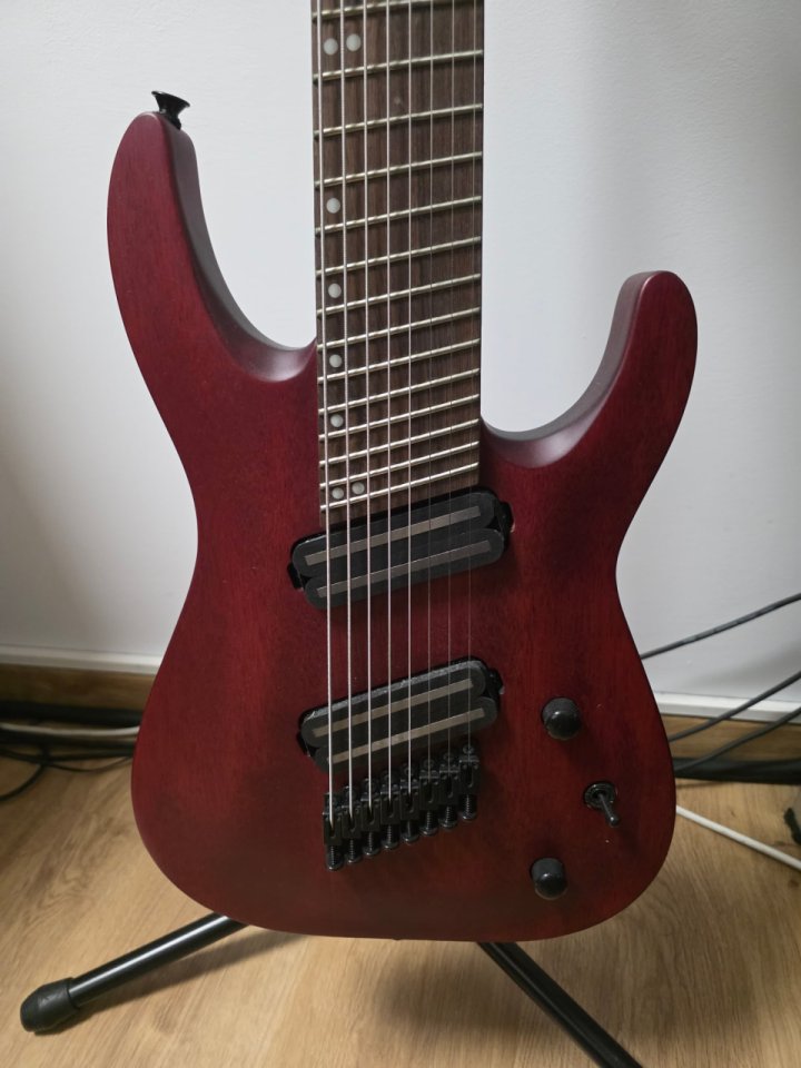 Jackson Dinky 8 cuerdas.