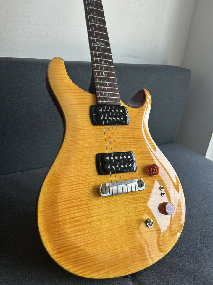 PRS SE Paul's Guitar