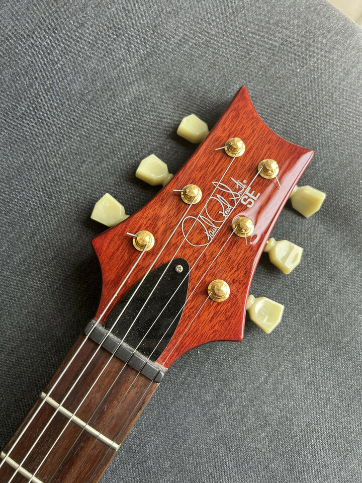 PRS SE Paul's Guitar