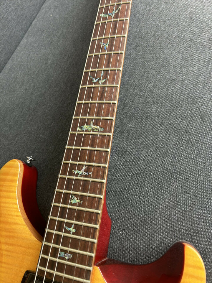 PRS SE Paul's Guitar
