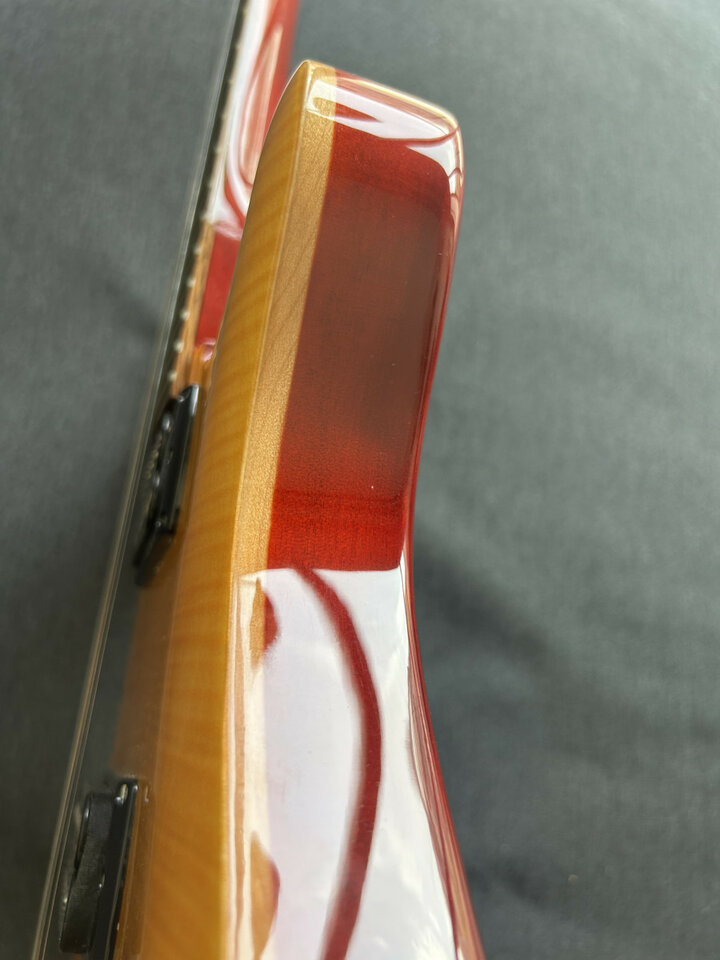 PRS SE Paul's Guitar