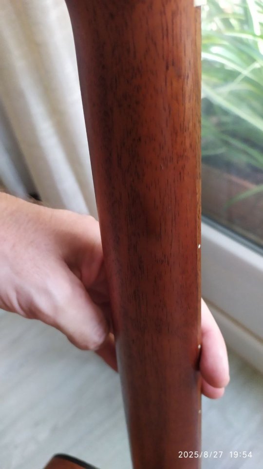 Guitarra acústica Baton Rouge AR21 con funda