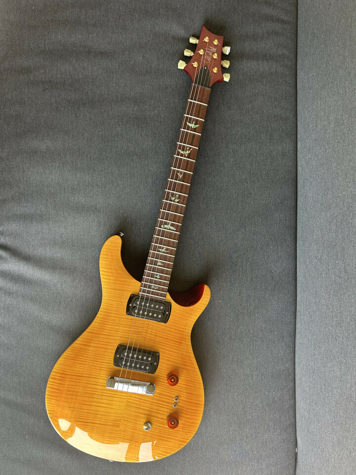 PRS SE Paul's Guitar