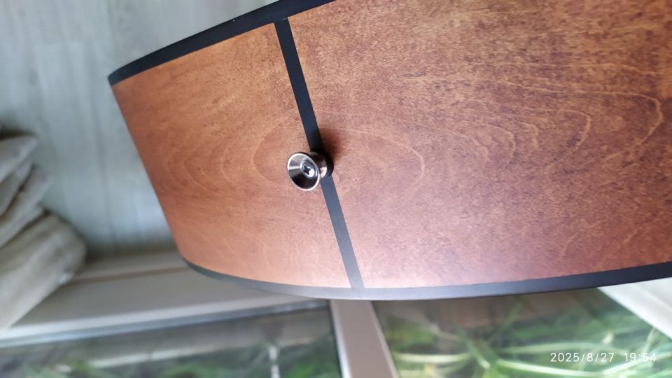 Guitarra acústica Baton Rouge AR21 con funda