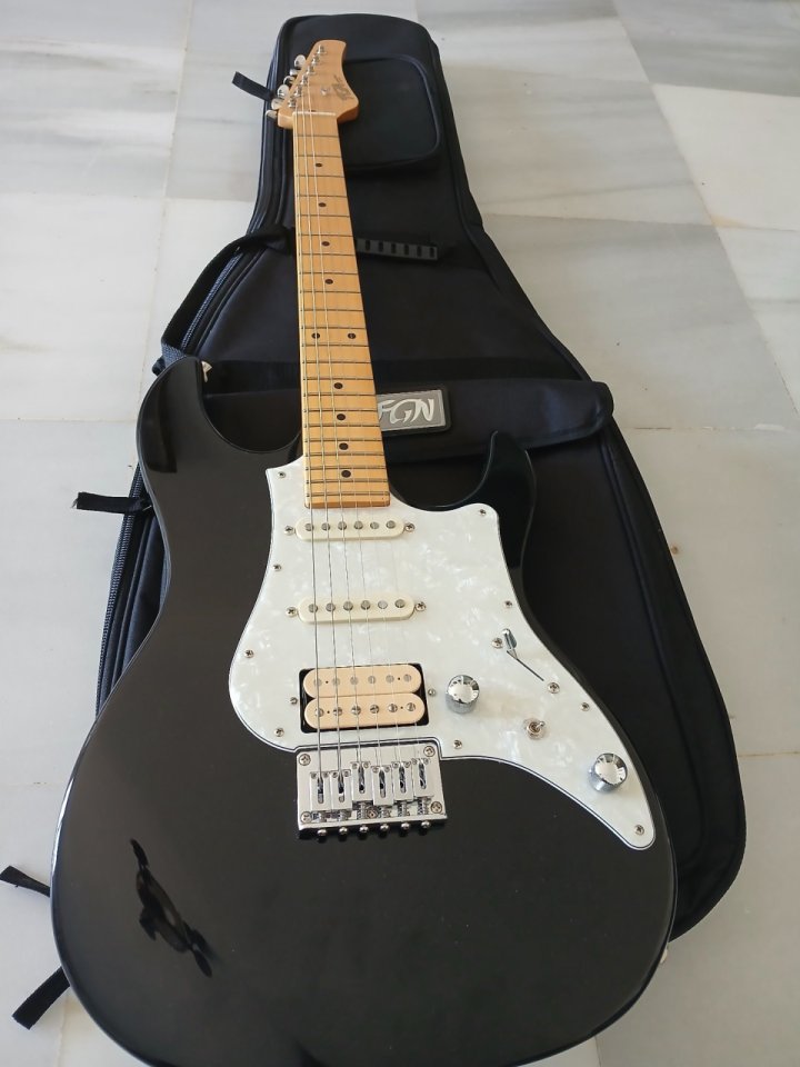 FGN Odisey Japan con pastilla Dimarzio en puente y funda