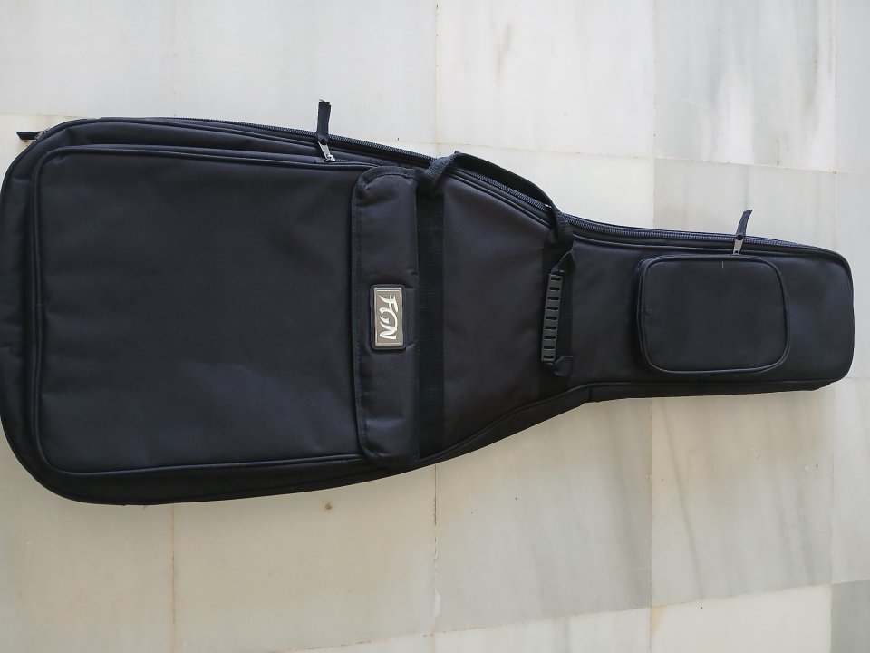 FGN Odisey Japan con pastilla Dimarzio en puente y funda