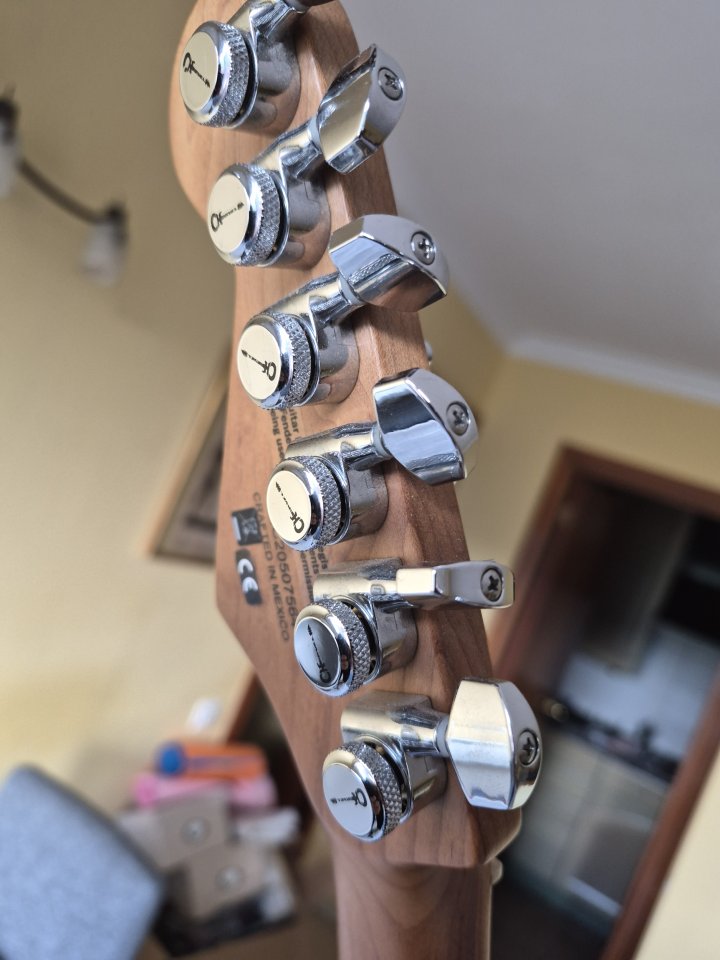 Charvel Pro Mod DK 24 de segunda mano · Foto 4 de 5 · Barcelona · 700 €