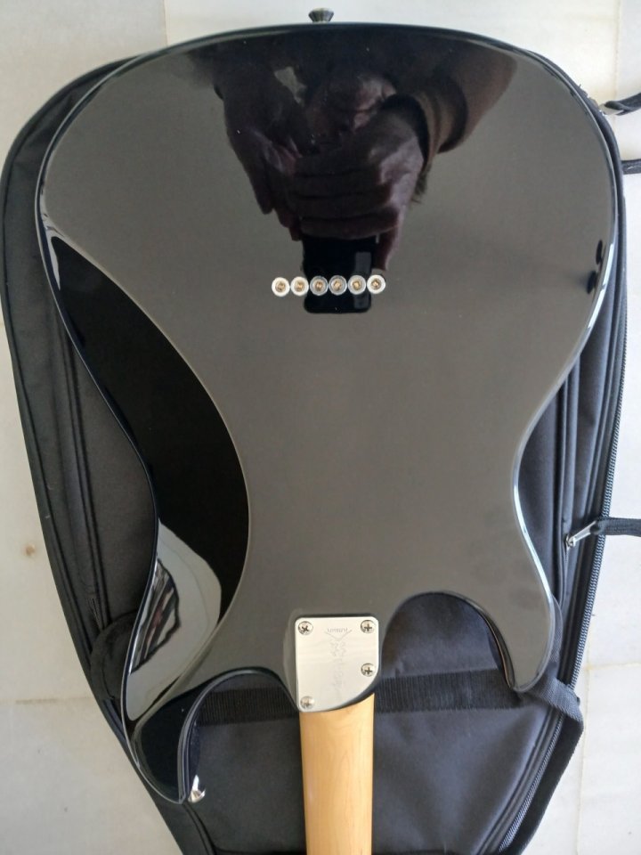 FGN Odisey Japan con pastilla Dimarzio en puente y funda