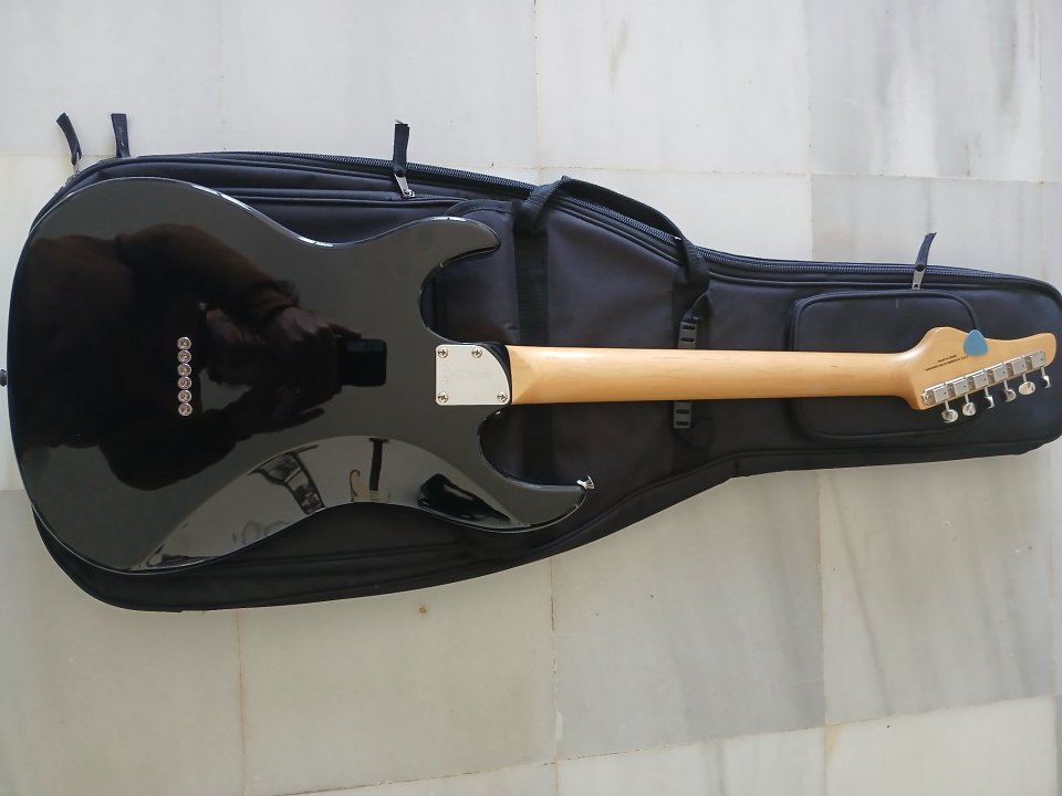 FGN Odisey Japan con pastilla Dimarzio en puente y funda