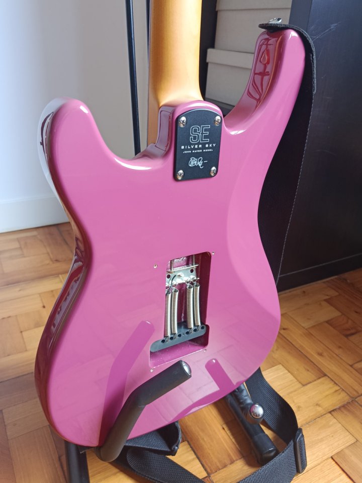 PRS SE Silver sky Dragón Fruit de segunda mano · Foto 2 de 10 · Cantabria · 600 €