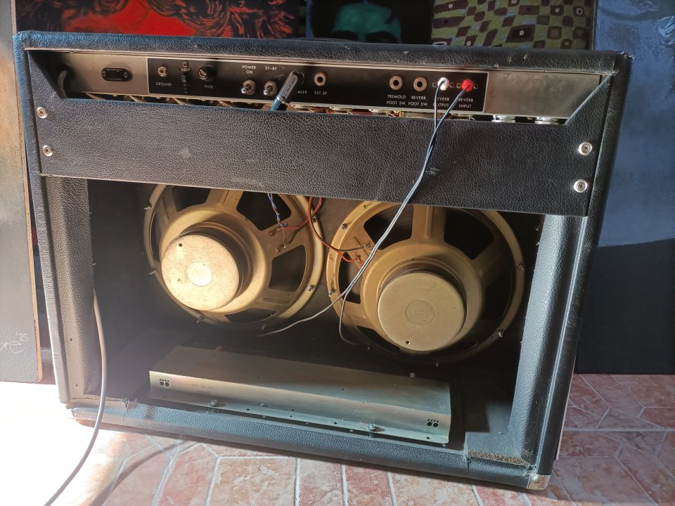 Guyatone Reverb Custom GA1100  (Fender Twin Reverb clon,era Blackface)   Fujigen - Gakki