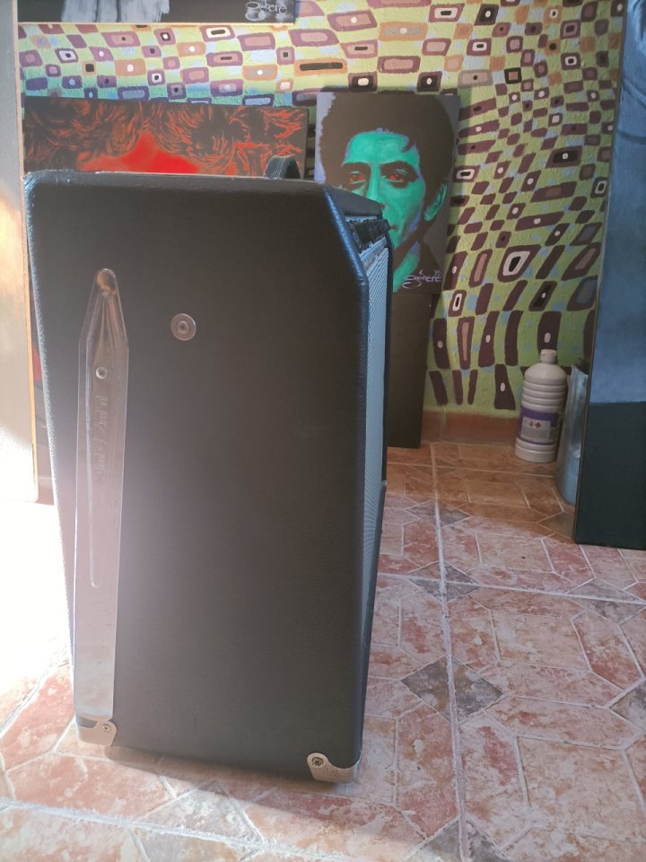 Guyatone Reverb Custom GA1100  (Fender Twin Reverb clon,era Blackface)   Fujigen - Gakki