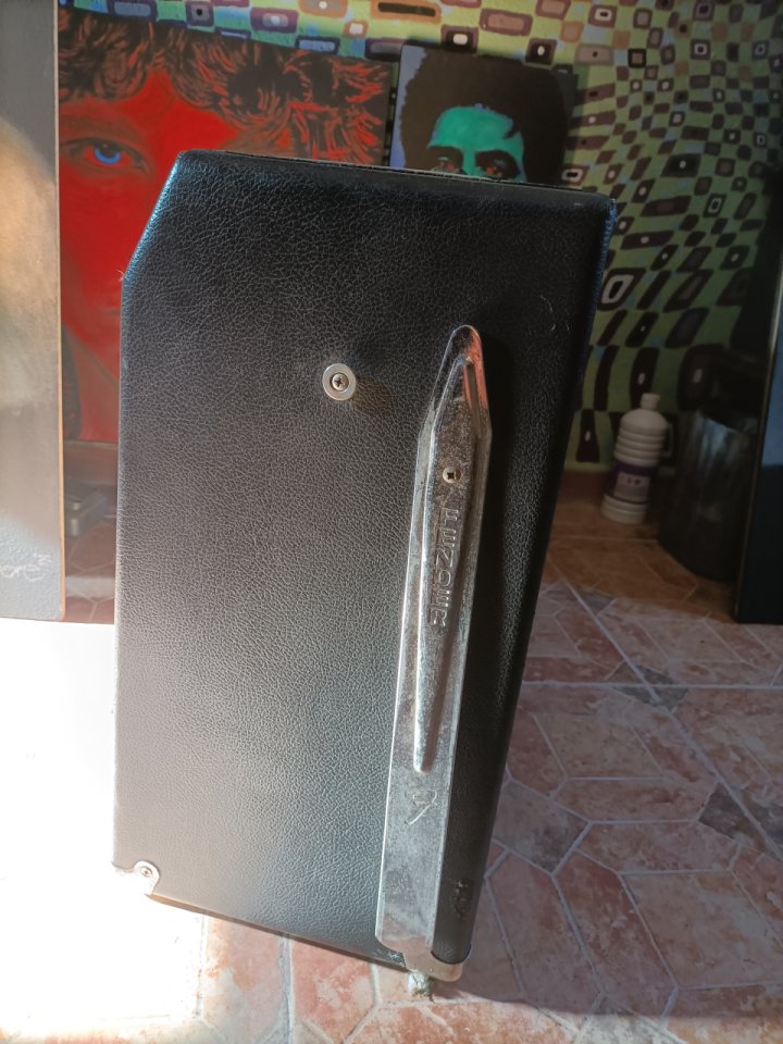 Guyatone Reverb Custom GA1100  (Fender Twin Reverb clon,era Blackface)   Fujigen - Gakki