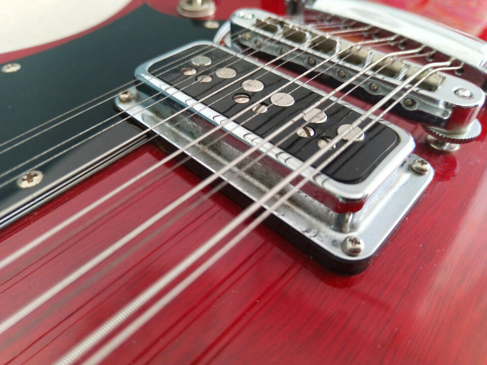 Vendo o cambio 12 cuerdas - Dearmond S73